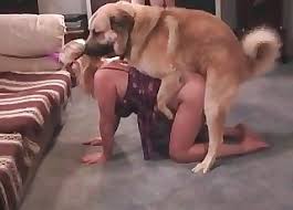 Emdi Porno Videolar Hayvanlarla Kopek Tup En Populer Sayfa 1