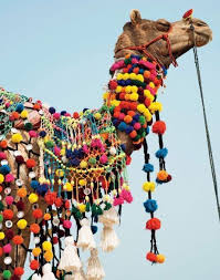 Improve yourself, find your inspiration, share with friends. Camel Cameos
