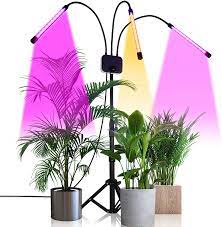 We did not find results for: Grow Light With Stand Ghodec Tri Head 60w Floor Plant Lights For Indoor Plants Tripod Stand Adjustable 15 48 In 3 9 12h Timer 3 Modes Amazon Ca Tools Home Improvement