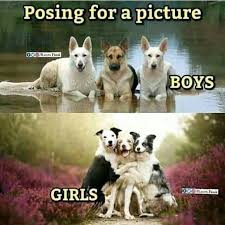 Posing For A Picture Boys Vs Girls Boys Vs Girls Guys Vs Girls Cute Animal Memes