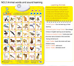 education teaching chart english chinese bilingual teach