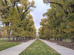 Hotel rates in park city, ut. Top Parks In Salt Lake City Utah