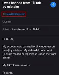 Getting started creating an account. How To Reverse A Tiktok Ban In 2021 Steps And Advice Social Tipster