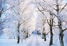Check spelling or type a new query. 60 Beautiful Winter Pictures The Photo Argus