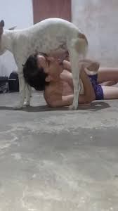 Dog sex 54543 - BestialitySexTaboo - Bestiality Sex Taboo