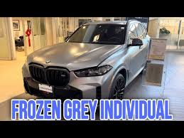 Image result for Frozen Pure Grey 2024 i5