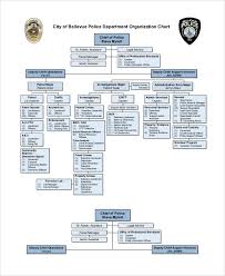 Sample Organizational Chart 52 Examples In Pdf Ppt Word