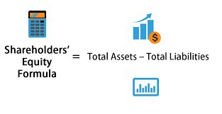 Net income for the year is $45,000. Shareholders Equity Formula Calculator Excel Template