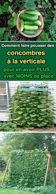 Comment Faire Pousser Des Concombres A La Verticale Pour En Avoir Plus Avec Moins De Place Jardin Jardins Potagers Verticaux Jardins Et Potager
