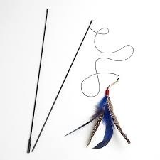 Remember that da bird is breakable and your cat could accidentally ingest parts of it. Da Bird Cat Teaser Wand The Cat Connection