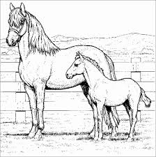 Free, printable mandala coloring pages for adults in every design you can imagine. Realistic Horse Coloring Pages For Adults Coloringbay