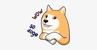 Photography logo vector instagram logo vector wedding logo vector audi logo vector recycle logo vector red sox logo. Doge Wow Meme Doge Free Transparent Png Download Pngkey