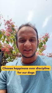 Discipline is not a measure of how happy your dog is. There is too much  emphasis in “teaching” our dogs to be obedient instead of thinking of how  to keep our dogs happy., I know so many people say my ...