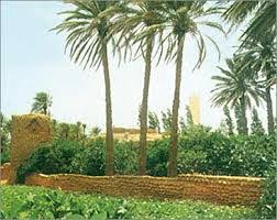 اجمع عددا من الصور التي تبين المضار المترتبة على تلويث المياه ذاكرتي