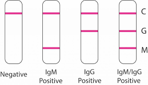 Covid 19 Antibody Test Embry Women S Health