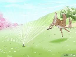 The storage of the coffee grounds for 7 to 10 days in a bag, wet, makes them pretty stinky. 3 Ways To Keep Deer Out Of A Garden Wikihow