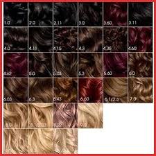 garnier olia hair color chart 165075 amazon garnier olia hair color 3 0 darkest brown ammonia olia hair color garnier hair color brown hair color chart