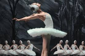 Check spelling or type a new query. Swan Lake Bakal Memukau Peminat Balet Di Istana Budaya