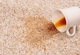 carpet cleaning in centerline mi