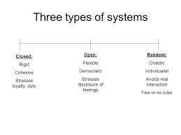 Family Systems Conflict And Crisis Ppt Download
