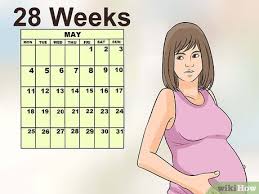 Image result for Fetal Movement Count