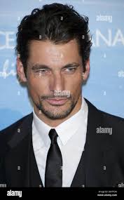David gandy hi-res stock photography and images