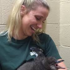 Conservation Trips with Bob by Uproar