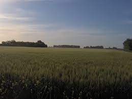 Andes and the pampas draft. Humid Pampas Wikipedia