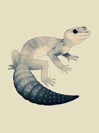 Black And White Leopard Gecko Drawing Black And White Gecko Tattoo Cute Gecko Cute Reptiles Animal Drawings