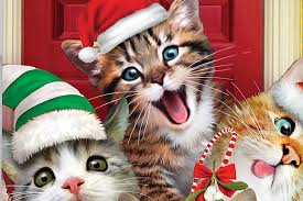 Ordering extras is quick and easy. Send A Furry Holiday Greeting With Cat Christmas Cards Band Of Cats