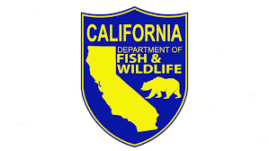 As a user of the california department of fish and wildlife (cdfw). Fish Wildlife Officers Shut Down Illegal Cannabis Grows In Kern And Tehama Counties Ktvl