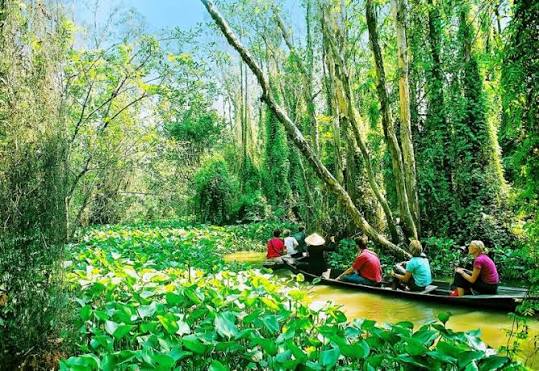 Khu di tích Xẻo Quít (Xẻo Quýt): Điểm du lịch độc đáo ở Đồng Tháp