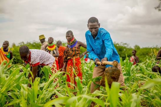 Agriculture et Tech