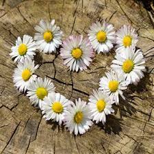 Ruth Marie Toole Obituary (1941