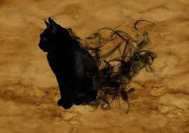 Free Image On Pixabay Cat Surreal Silhouette Mystical In 2020 Surrealism Cats Black Cat Halloween