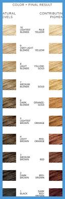Hair Color Level Chart 384867 Wtf Is Level 10 Hair Arctic