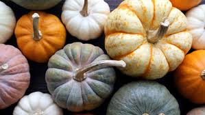 Mitunter können am stielansatz, in der schale und fruchtfleisch vom hokkaido grüne flecken vorhanden sein. Hokkaido Butternut Co Die 15 Beliebtesten Kurbisse Was Man Daruber Wissen