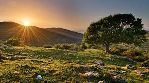 25 Nature 4k Wallpaper For Desktop Venera Wallpaper Feel free to download all of these desktop background pictures of nature for free.