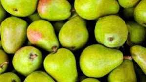 Want to check fruits pictures check here fruits name with pictures scientific names are in red color fruits below is the list of fruits name in english and hindi. Date Fruits Date Palm Meaning In Hindi à¤¡ à¤Ÿ à¤ª à¤® à¤• à¤¹ à¤¦ à¤…à¤° à¤¥ Knowledge Love