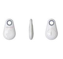 2.4G Active RFID Reader for Vehicle Access & Personnel ...