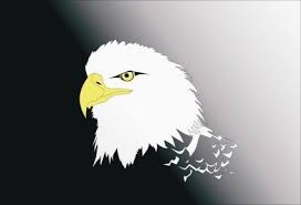 Keren 30 Gambar Burung Rajawali Kartun Free Logo Kepala Rajawali Download Free Clip Art Free Clip Download Falcon Di 2020 Ilustrasi Vektor Burung Rajawali Kartun