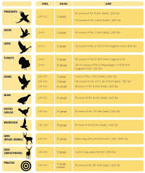 13 Competent Shotgun Pellet Sizes Chart