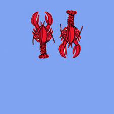 We did not find results for: Youre My Lobster Gifs Get The Best Gif On Giphy