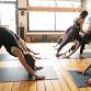 25 Hour Prenatal Immersion & Teacher Training — event image
