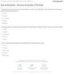 The brain has several different parts working together to help a person live their life each day. Quiz Worksheet Structure Function Of The Brain Study Com