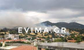 «σβήστε τώρα τις φωτιές, αύριο θα είναι αργά». Fwtia Twra Sthn Eyboia Newsbomb Eidhseis News