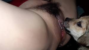 Dog licking.pussy