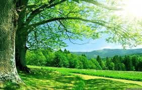 Hd nature wallpapers beautiful landscape, mountain, beach, flowers, waterfall, sun & sky background images download for your smartphone. Free Download Summer Nature Wallpaper Wallpapers 4k Ultra Hd Wallpapers Download 600x380 For Your Desktop Mobile Tablet Explore 47 8k Nature Wallpaper 3k Wallpaper Ultra Hd Wallpapers Uhd Wallpapers