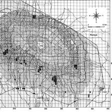 Image result for Chlorophytum macrorrhizum