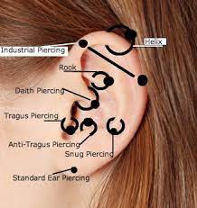 Http Typesofpiercings Net Types Of Ear Piercings Ear Piercings Diagram And Different Types Ear Piercing Diagram Types Of Ear Piercings Ear Piercings